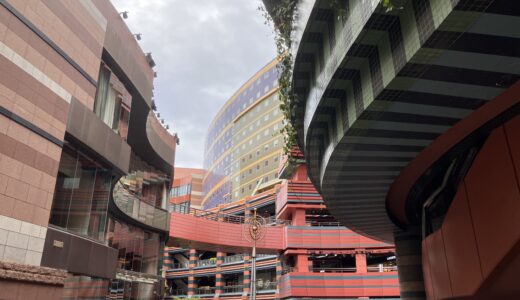 福岡初日です。